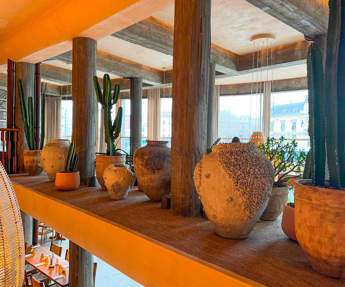 Cactus-aménagement-paysager-hotel