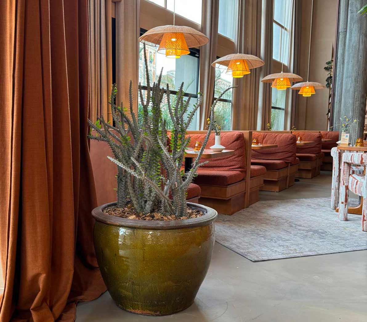 Création-paysagère-dans-un-hotel-à-Paris