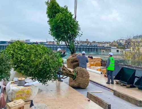 Grutage en milieu urbain