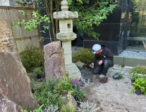 Évolution et enrichissement d&rsquo;un jardin remarquable